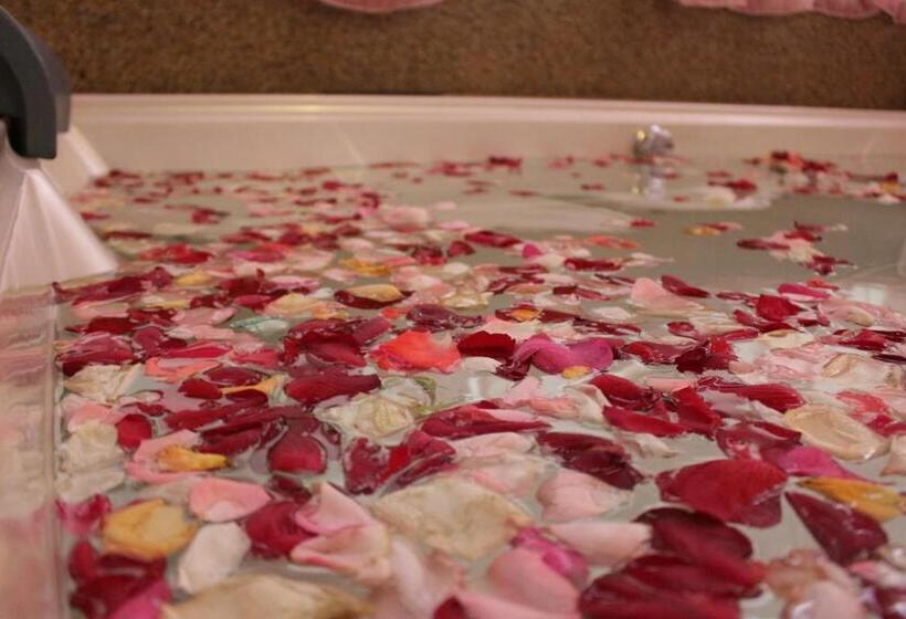 سوییت, Paradise Spa