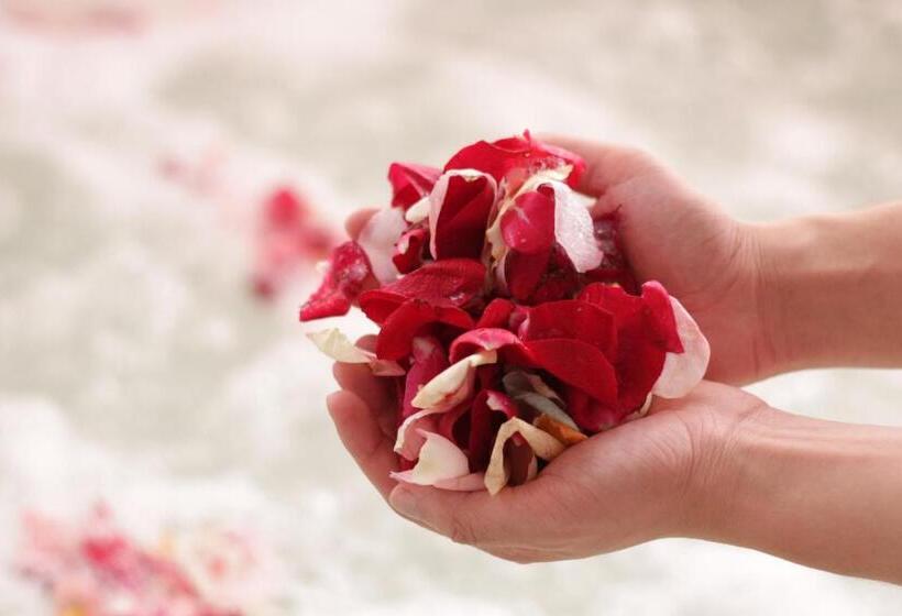 سوییت, Paradise Spa