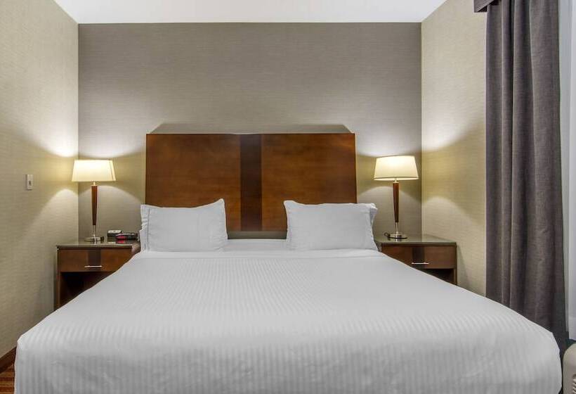 اتاق استاندارد با تخت دوبل, Devonian  & Suites
