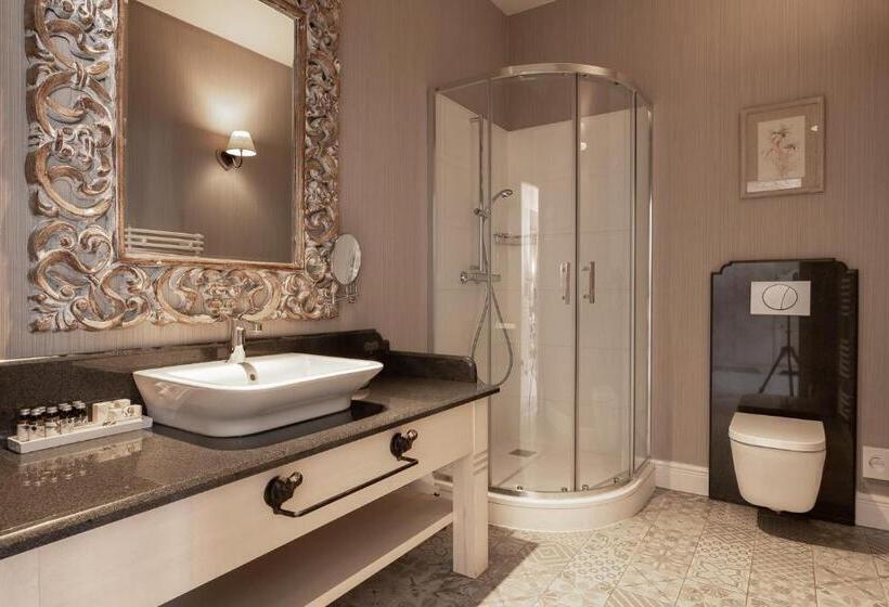 غرفة تنفيذية, Aries Hotel & Spa Zakopane