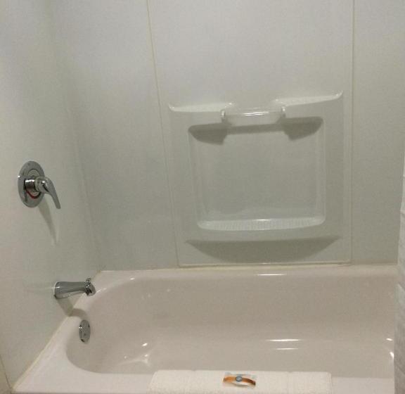 اتاق استاندارد با تخت بزرگ, Days Inn By Wyndham Hartsfield Jackson Atlanta Airport West
