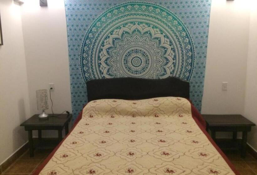 اتاق استاندارد, Easy Inn