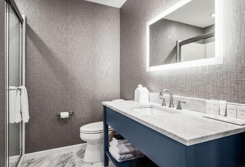 اتاق استاندارد با تخت بزرگ, Alexandra Inn