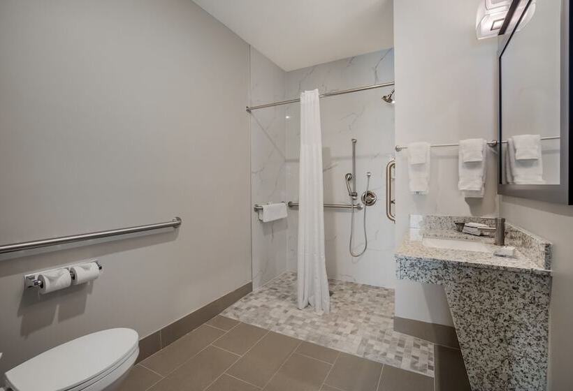 سوئیت برای معلولان, Hawthorn Extended Stay By Wyndham Sulphur Lake Charles