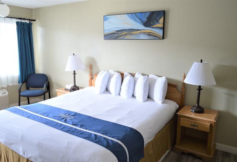 اتاق استاندارد با تخت بزرگ برای معلولان, Omeo Suite Glass Beach