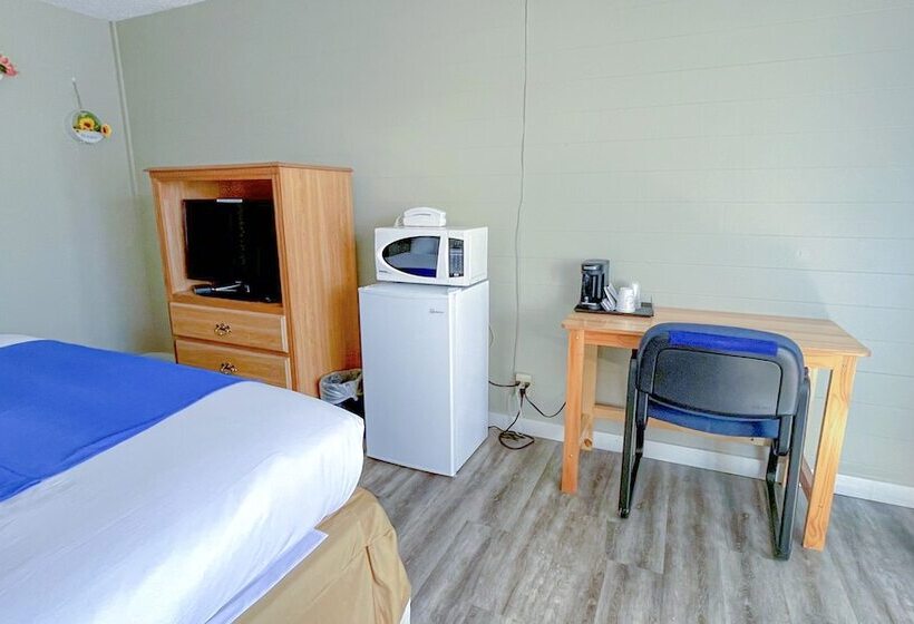 اتاق استاندارد با تخت بزرگ برای معلولان, Omeo Suite Glass Beach