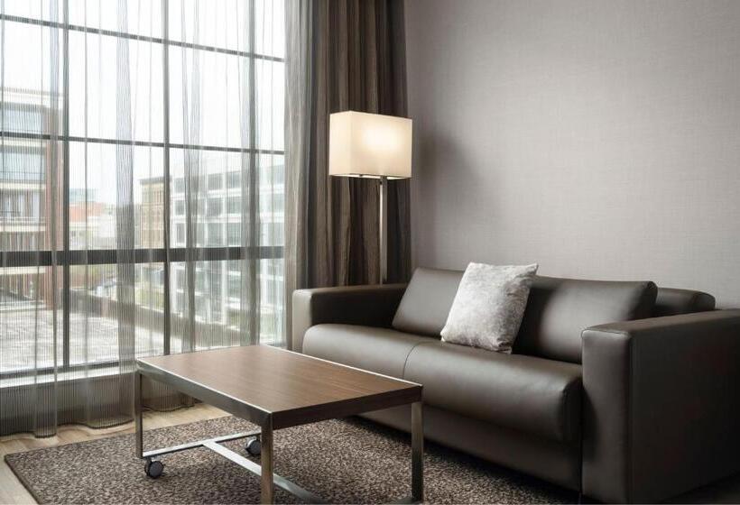 اتاق استاندارد با چشم‌انداز شهر, Ac Hotel By Marriott Dayton