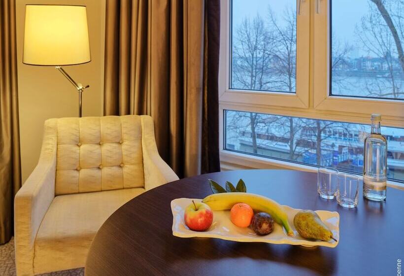 اتاق استاندارد, Dorint Hotel Bonn