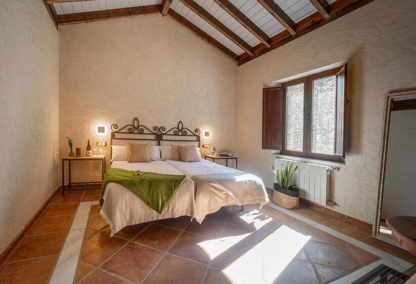 اتاق استاندارد, Eco Hotel Cueva Del Gato