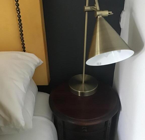 آپارتمان 1 خوابه با چشم‌انداز باغ, The Capital Guest House