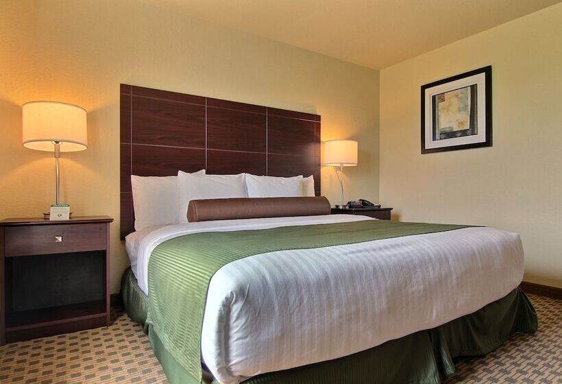 اتاق استاندارد با تخت بزرگ برای معلولان, Cobblestone Inn & Suites  Linton