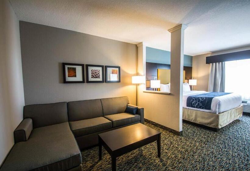 Suite Cama King, Comfort Suites Fort Lauderdale Airport South & Cruise Port