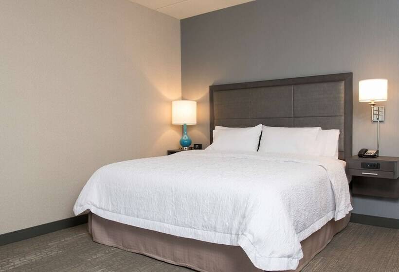 اتاق استاندارد با تخت دوبل, Hampton Inn And Suites Grand Rapids Downtown