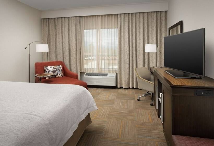 اتاق استاندارد با تخت بزرگ, Hampton Inn & Suites Phoenix Tempe