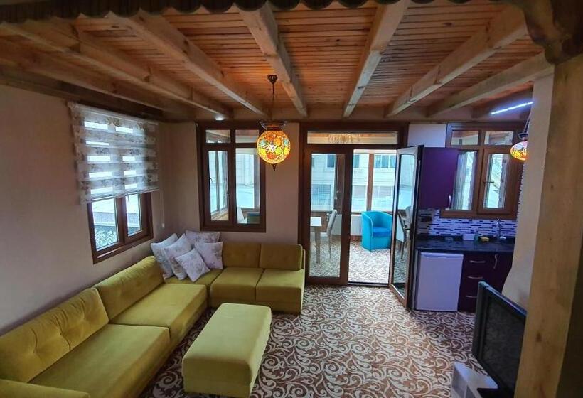 ویلای 1 خوابه, Sapanca Aqua Wellness Spa