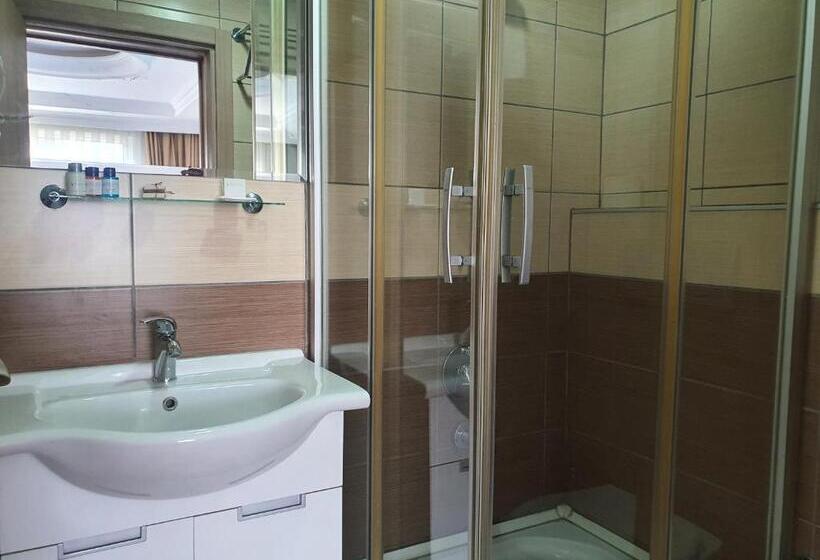 اتاق اکونومی, Sapanca Aqua Wellness Spa