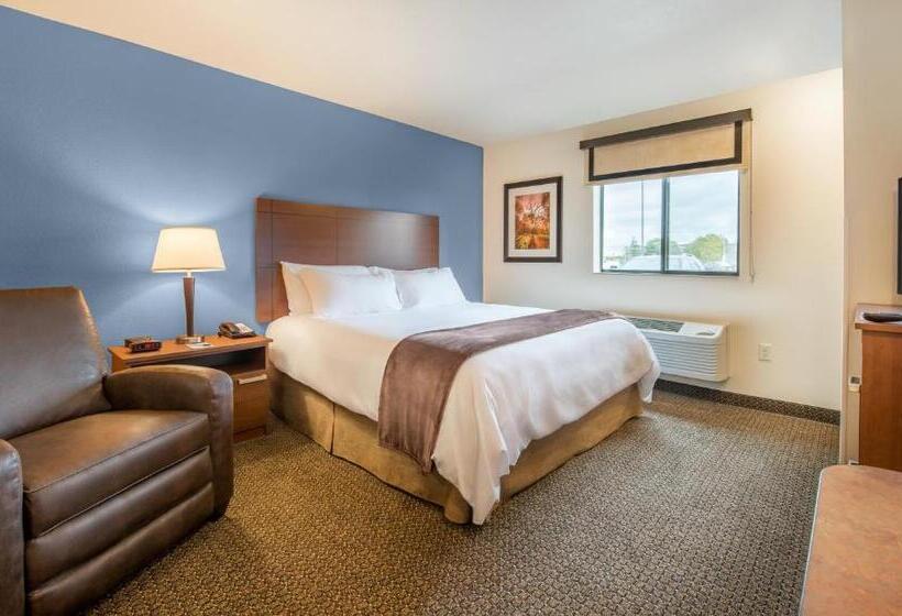 اتاق استاندارد برای معلولان, My Place Hotel Rock Springs, Wy