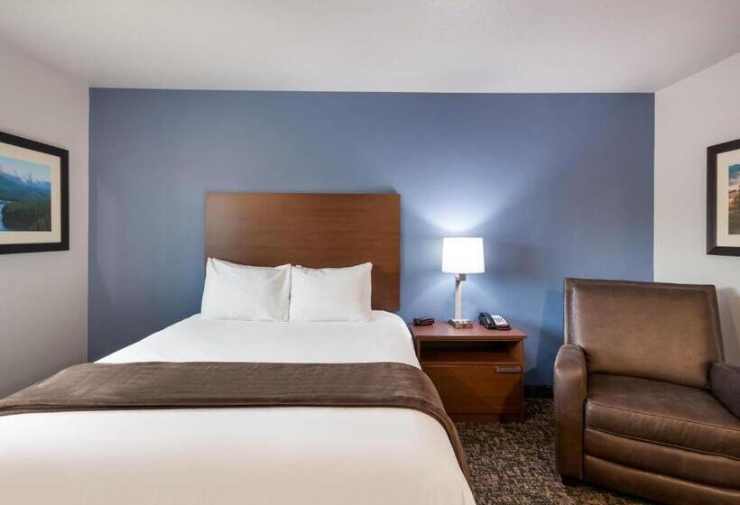 اتاق استاندارد برای معلولان, My Place Hotel Rock Springs, Wy
