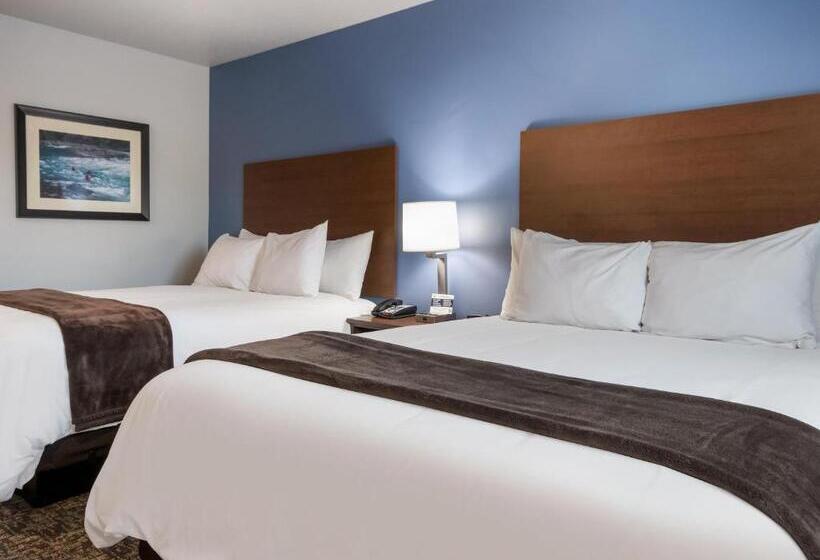 اتاق استاندارد برای معلولان, My Place Hotel Rock Springs, Wy