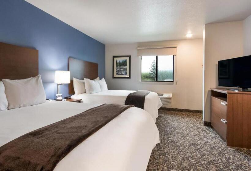 اتاق استاندارد, My Place Hotel Rock Springs, Wy