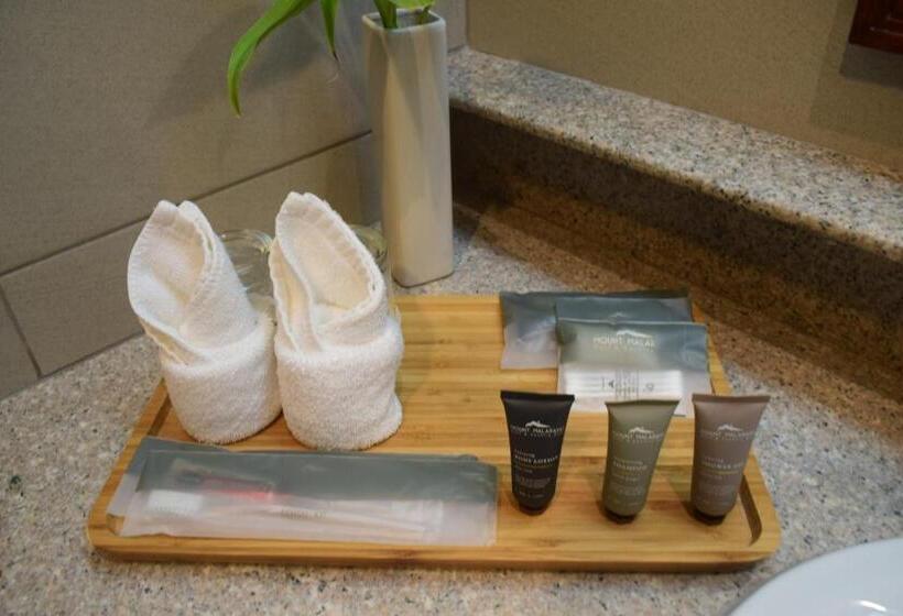 اتاق لوکس با چشم‌انداز دریاچه, The Suites At Mount Malarayat