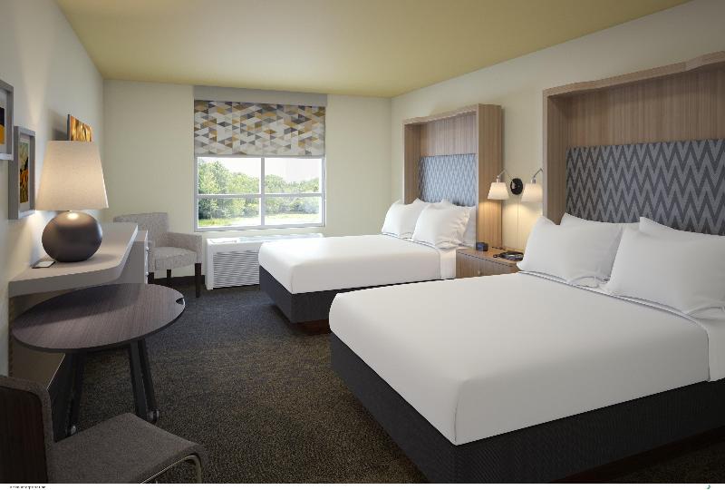 اتاق اجرایی با تخت بزرگ, Wyndham Flint Mi Grand Blanc Bishop Airport Conference Ct