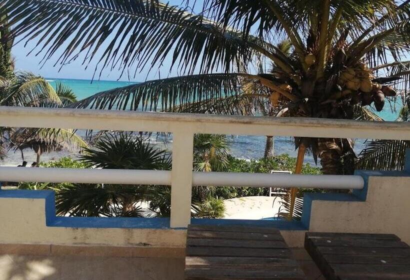 سوئیت با تخت بزرگ, Casa Cenote