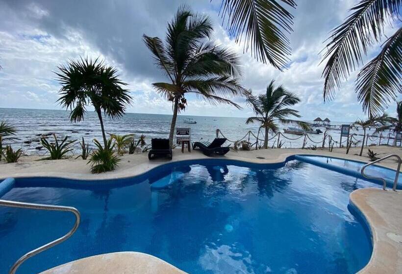 سوئیت با تخت بزرگ, Casa Cenote