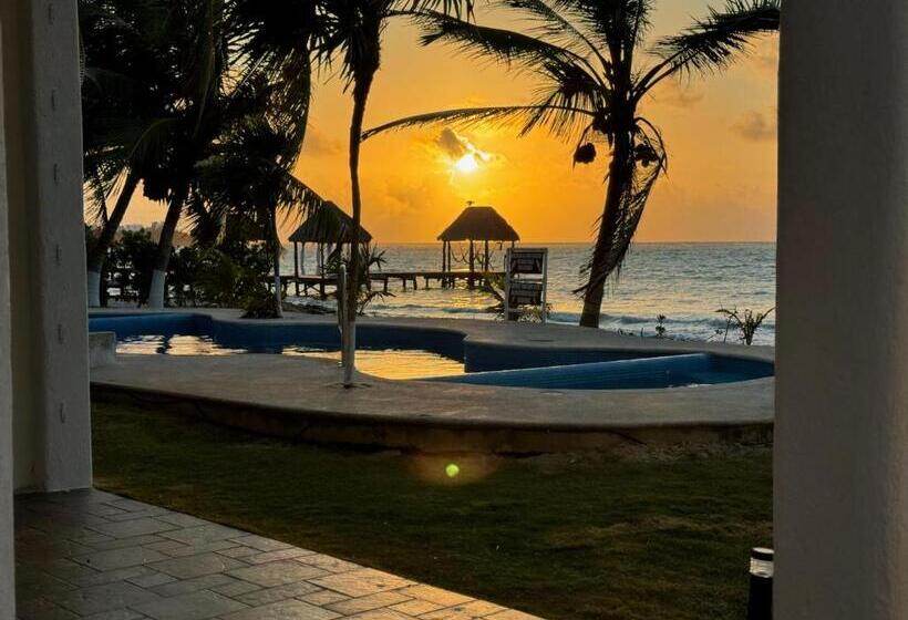 سوئیت با تخت بزرگ, Casa Cenote