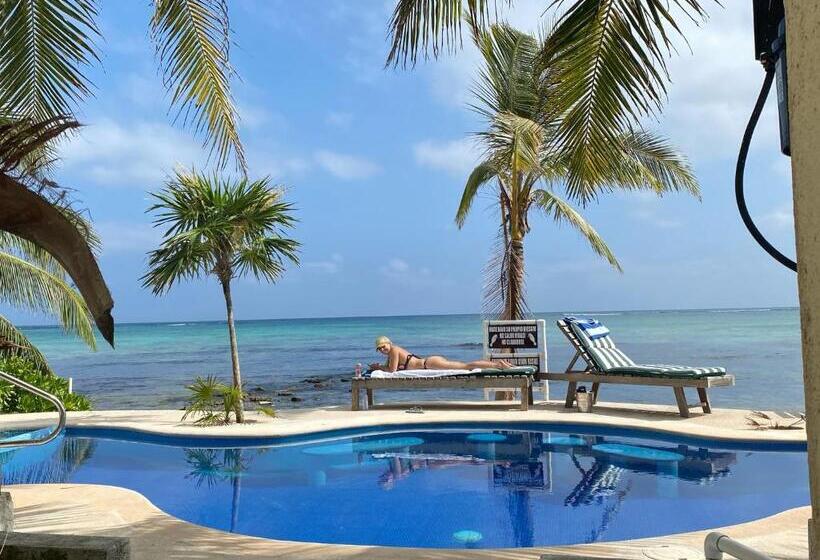 سوئیت با تخت بزرگ, Casa Cenote