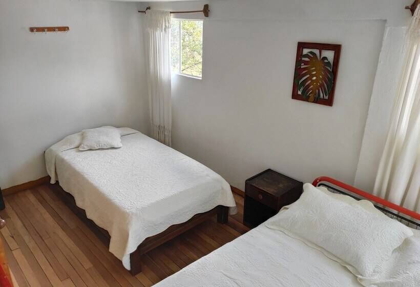 اتاق استاندارد سه تخته با سرویس بهداشتی مشترک, Brisas Del Nevado
