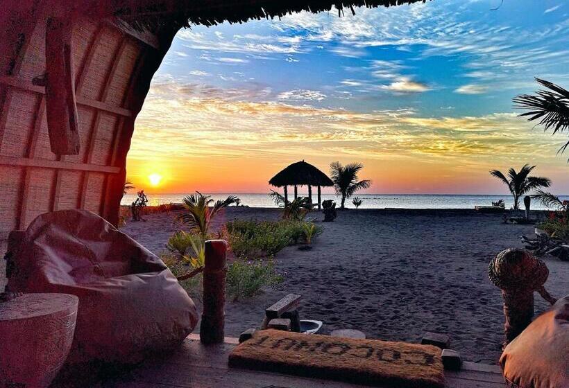 بنگله خانوادگی, Coconut Garden Beach Resort