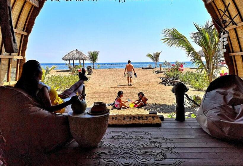 خانه 1 خوابه, Coconut Garden Beach Resort