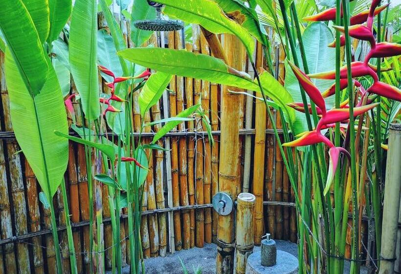 بانگلوی استاندارد با چشم‌انداز دریا, Coconut Garden Beach Resort