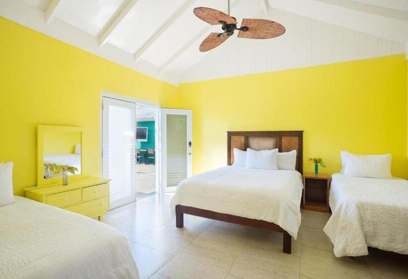 اتاق لوکس, Luna Sea Inn