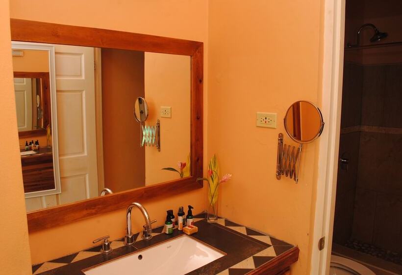 اتاق استاندارد با تخت بزرگ, Luna Sea Inn