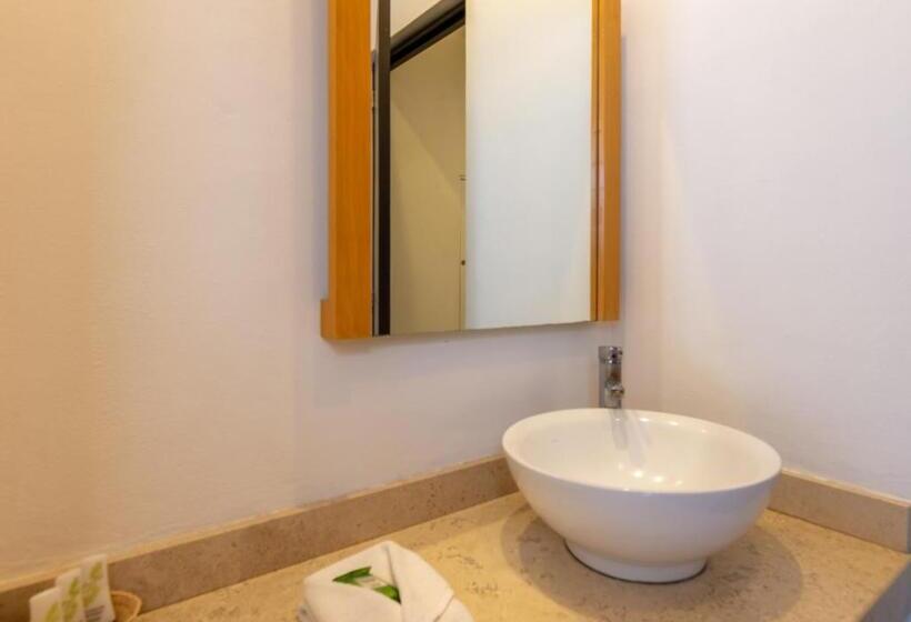 اتاق استاندارد, Mexico Inn Express
