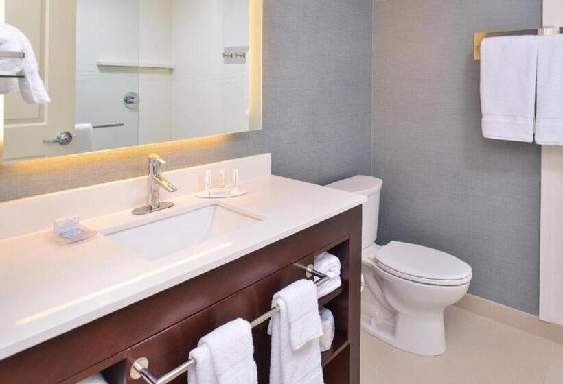 استودیو استاندارد با تخت کینگ, Residence Inn By Marriott Cedar Rapids South