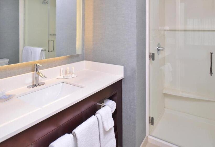 سوییت, Residence Inn By Marriott Cedar Rapids South