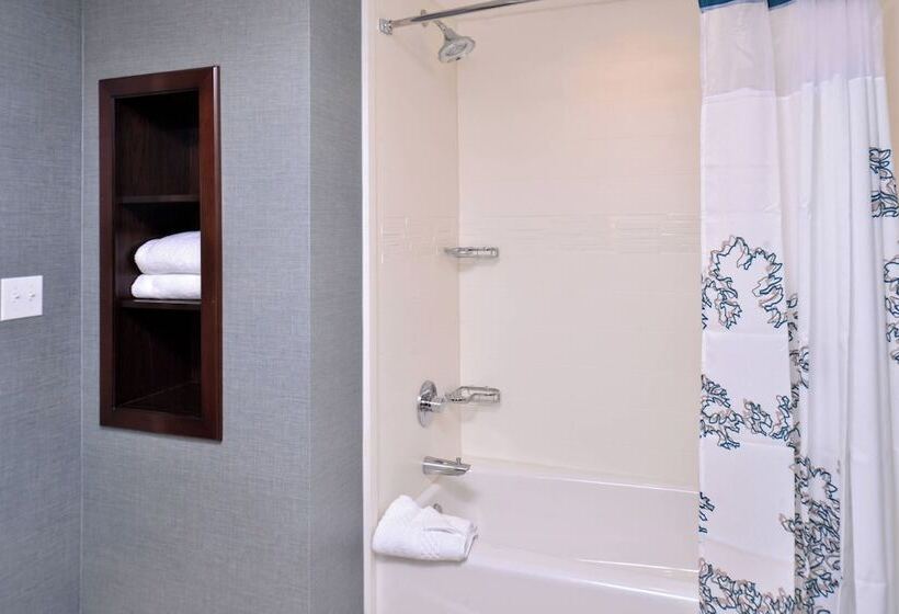 سوییت, Residence Inn By Marriott Cedar Rapids South