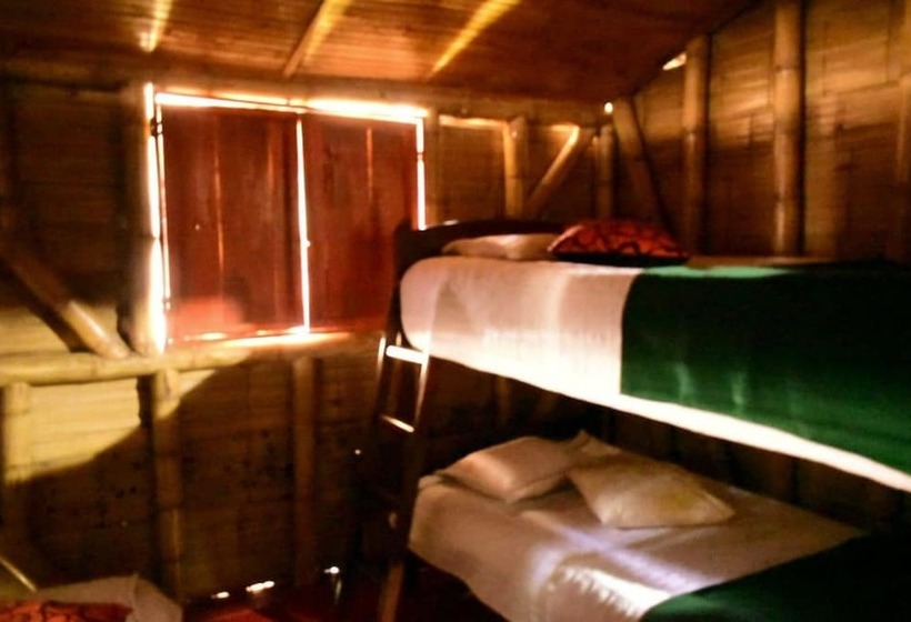 اتاق استاندارد چهار تخته, Ecohostal Villa Hidalgo