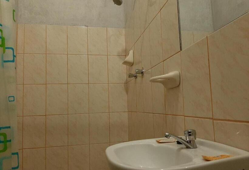 اتاق استاندارد, Healthy Stay Gocta