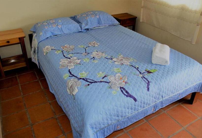 اتاق اکونومی, Healthy Stay Gocta
