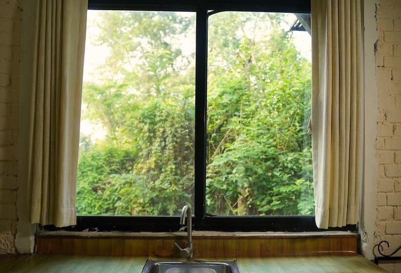 اتاق لوکس, Nana Jungle Resort