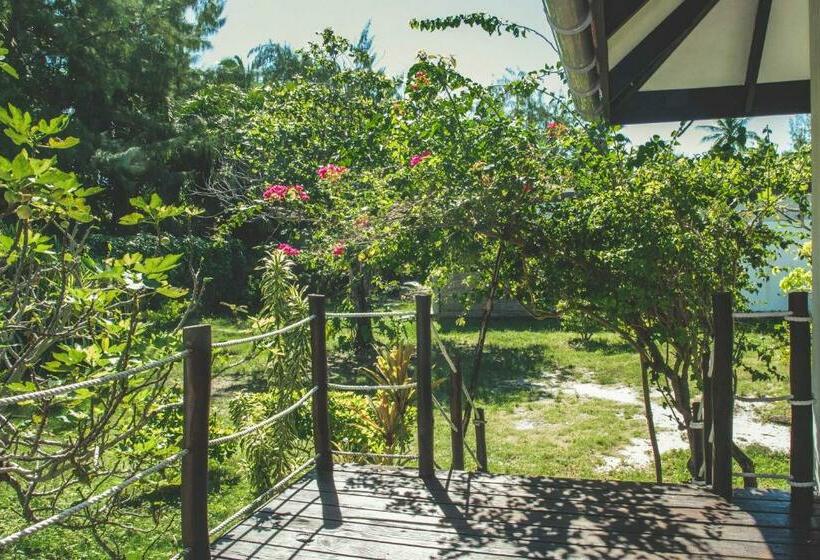 ویلای استاندارد با چشم‌انداز باغ, Le Coconut Lodge