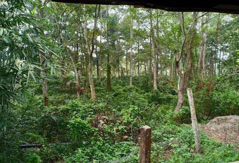 اتاق خانوادگی, Sarang Wildlife Sanctuary