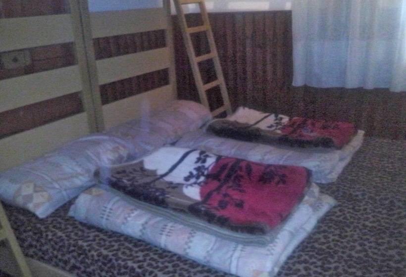 تختخواب در اتاق مشترک, Tiger House Guest House