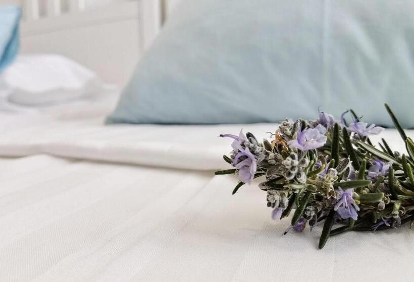اتاق استاندارد, Boutique Hotel Alegria