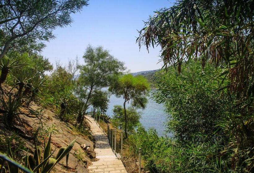 اتاق استاندارد با چشم‌انداز دریا, Blue Bay
