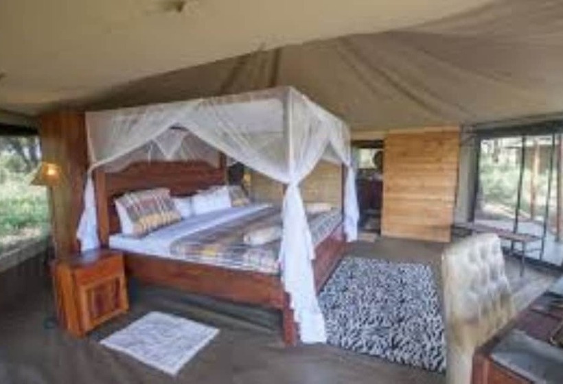 چادر با خدمات رفاهی لوکس, Acacia Tarangire Luxury Camp